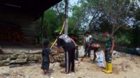 IMG-20260228-WA0022