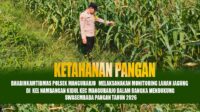 IMG-20260612-WA0011