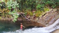 IMG-20260811-WA0011