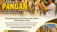 IMG-20260813-WA0003