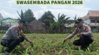 IMG-20260820-WA0001