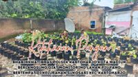 IMG-20260916-WA0012