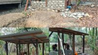 IMG-20261020-WA0024